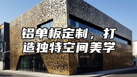 铝单板定制，打造独特空间美学