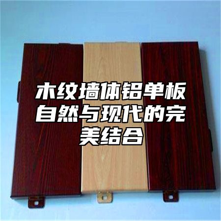 木纹墙体铝单板自然与现代的完美结合