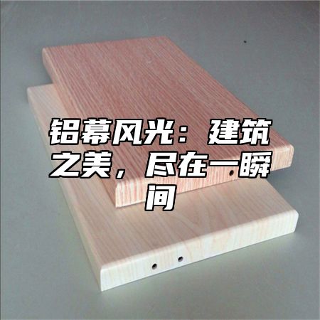 铝幕风光：建筑之美，尽在一瞬间