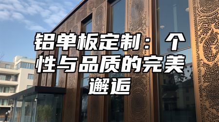 铝单板定制：个性与品质的完美邂逅