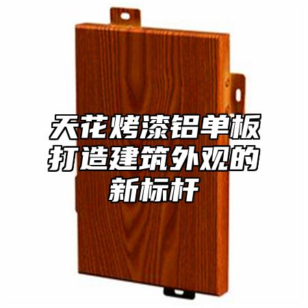 天花烤漆铝单板打造建筑外观的新标杆