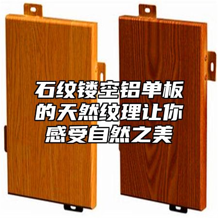 石纹镂空铝单板的天然纹理让你感受自然之美