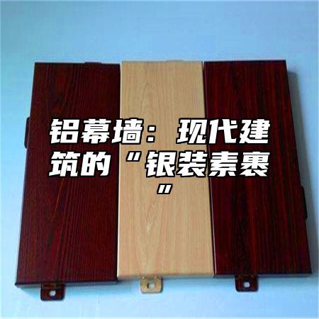 铝幕墙：现代建筑的“银装素裹”