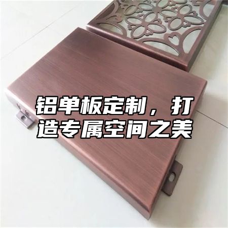 铝单板定制，打造专属空间之美
