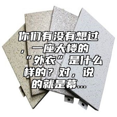 你们有没有想过，一座大楼的“外衣”是什么样的？对，说的就是幕...