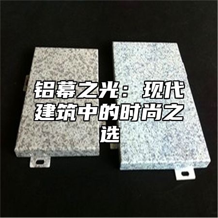 铝幕之光：现代建筑中的时尚之选