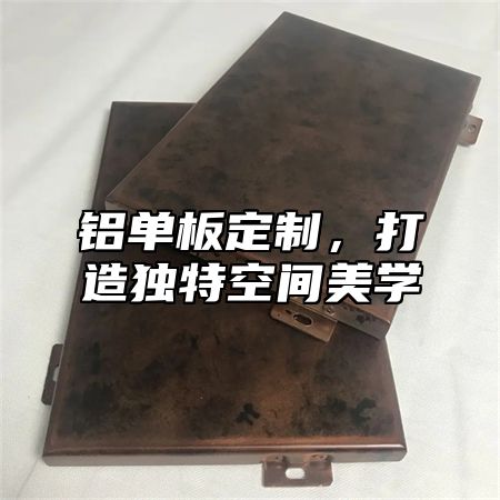 铝单板定制，打造独特空间美学