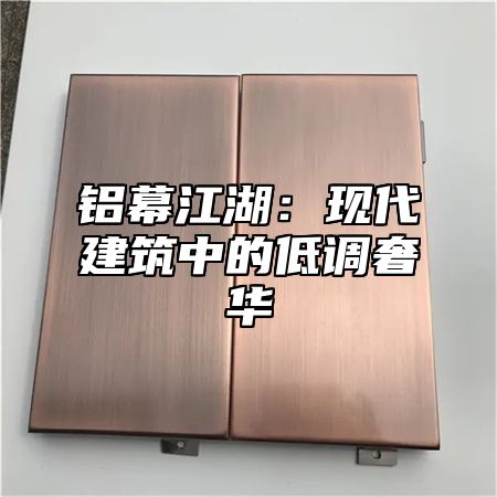 铝幕江湖：现代建筑中的低调奢华